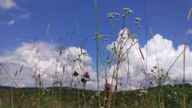 Yaz mevsiminde dağlarda bulut hareketi