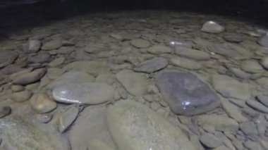 Karanlıkta aniden korkunç bir uzaylı beliriyor.