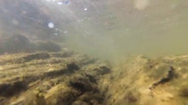 Suyun altındaki dağ nehri.