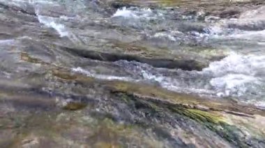 Suyun altındaki dağ nehri.
