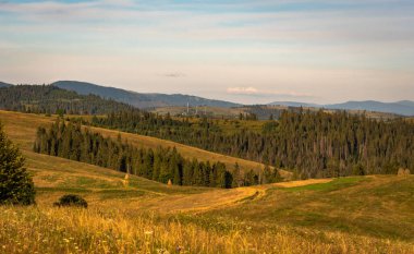 Karpatlar 'daki Borzhava dağ sırasının manzaralı yaz manzarası