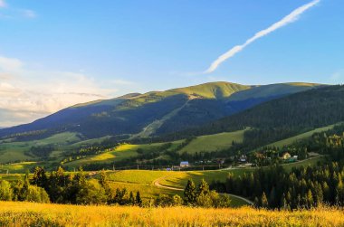 Karpatlar 'daki Borzhava dağ sırasının manzaralı yaz manzarası