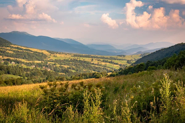 Peisaj Vară Vedere Lanțul Muntos Borzhava Carpați — Fotografie, imagine de stoc