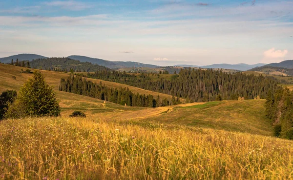 Karpatlar 'daki Borzhava dağ sırasının manzaralı yaz manzarası