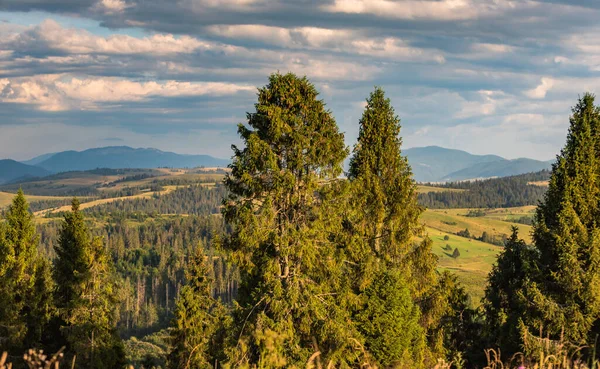 Sommerlandschaft Mit Blick Auf Die Gebirgskette Borzhava Den Karpaten — Stockfoto