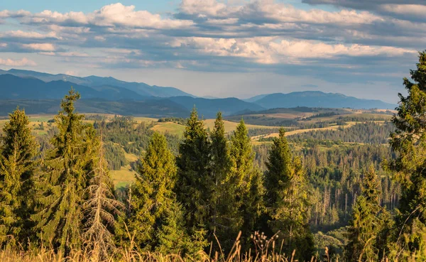 Sommerlandschaft Mit Blick Auf Die Gebirgskette Borzhava Den Karpaten — Stockfoto