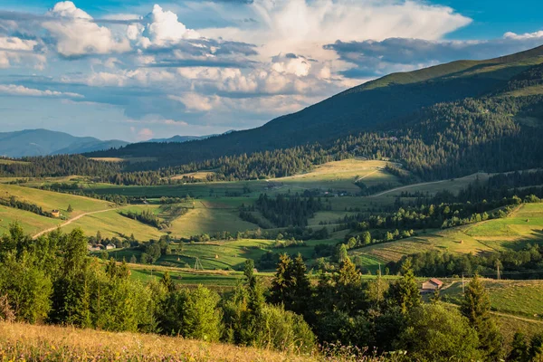 Peisaj Vară Vedere Lanțul Muntos Borzhava Carpați — Fotografie, imagine de stoc