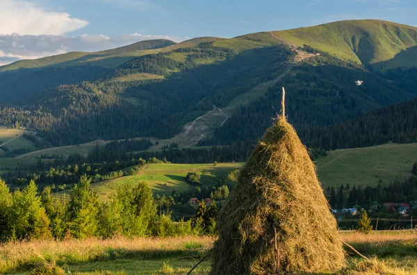 Балон Літає Літніх Карпатах — стокове фото