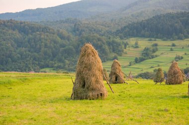 Tarlada saman yığını olan manzara
