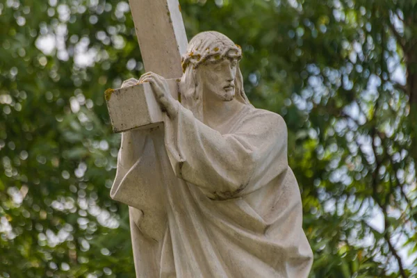 Paysage Croix Adoration Avec Jésus Campagne — Photo