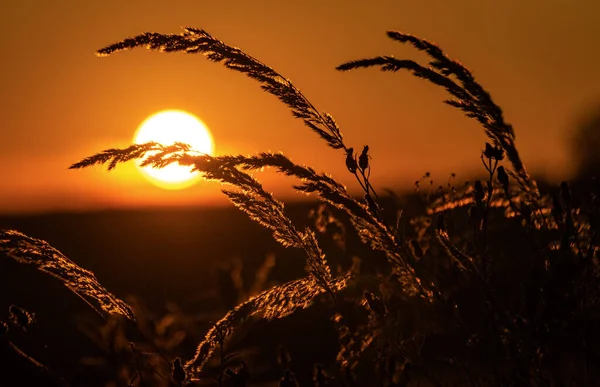 Krajina Názvem Konec Přehlídky — Stock fotografie