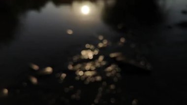 Güneş ışığı oyunu ve su akışı.