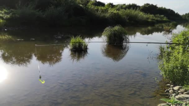 Pesca Verano Río Montaña — Vídeo de stock