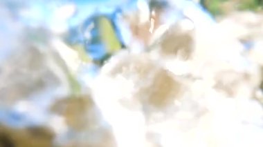 Suyun altındaki dağ nehri.