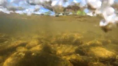 Suyun altındaki dağ nehri.