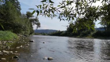 Yazın dağ nehri manzarası