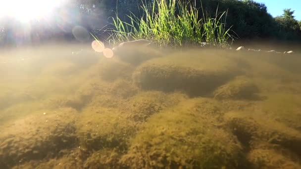 Río Montaña Bajo Agua Tiro — Vídeos de Stock