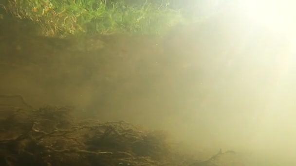 Montanha Rio Debaixo Água Tiro — Vídeo de Stock
