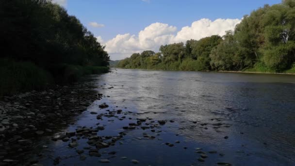 Yazın Dağ Nehri Manzarası — Stok video