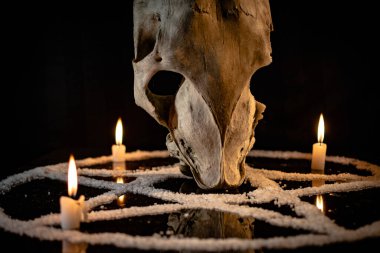 Boş iş başlıklı metaforik natürmort hayat 