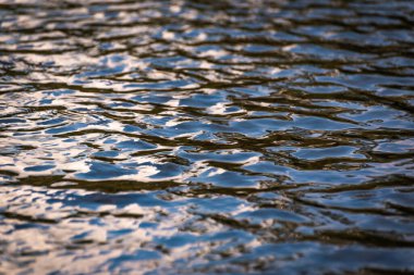 Bir dağ nehrinin şeffaf sularının güzel dalgaları