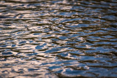 Bir dağ nehrinin şeffaf sularının güzel dalgaları