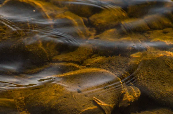 Beautiful Waves Transparent Water Mountain River — Stock Photo, Image