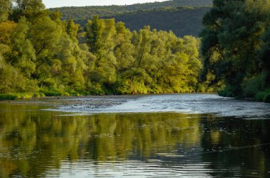 Yazın dağ nehri manzarası