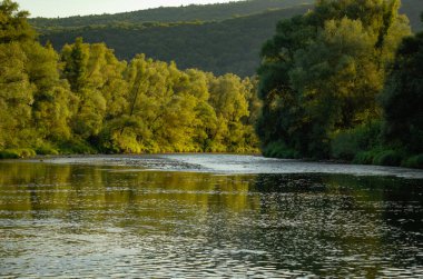 Yazın dağ nehri manzarası