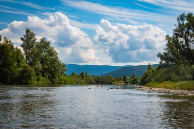 Yazın dağ nehri manzarası