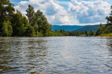 Yazın dağ nehri manzarası
