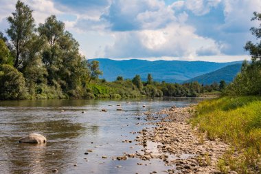 Yazın dağ nehri manzarası