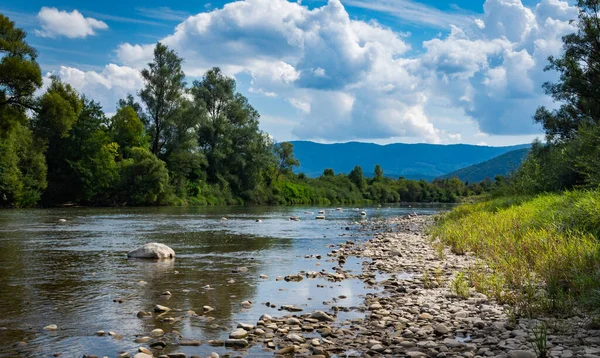 Yazın dağ nehri manzarası