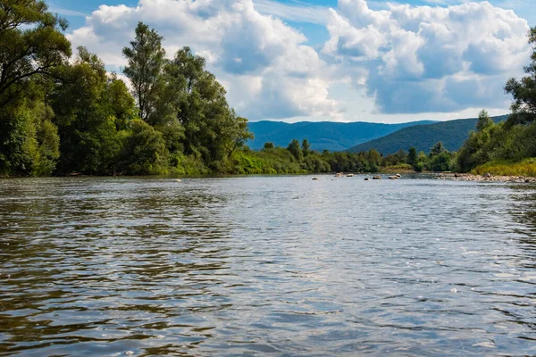 Yazın dağ nehri manzarası