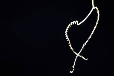 Vahşi bitki ekinosistis makro fotoğrafçılık