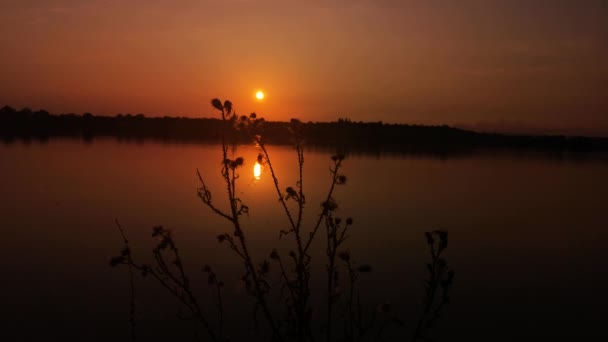 Όμορφο Απογευματινό Τοπίο Της Λίμνης Ηλιοβασίλεμα — Αρχείο Βίντεο