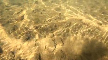 Suyun altındaki dağ nehri.