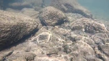 Suyun altındaki dağ nehri.