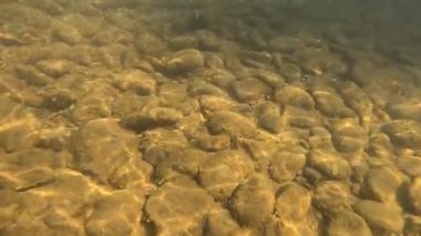 Suyun altındaki dağ nehri.