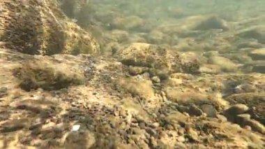 Suyun altındaki dağ nehri.