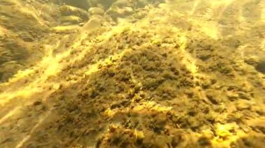 Suyun altındaki dağ nehri.