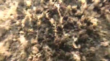 Suyun altındaki dağ nehri.