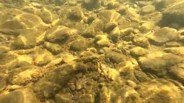 Suyun altındaki dağ nehri.