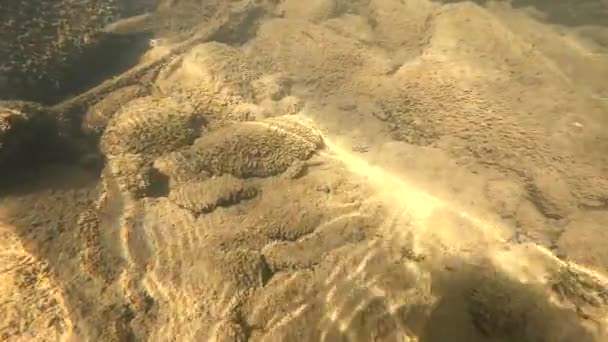 Río Montaña Bajo Agua Tiro — Vídeos de Stock