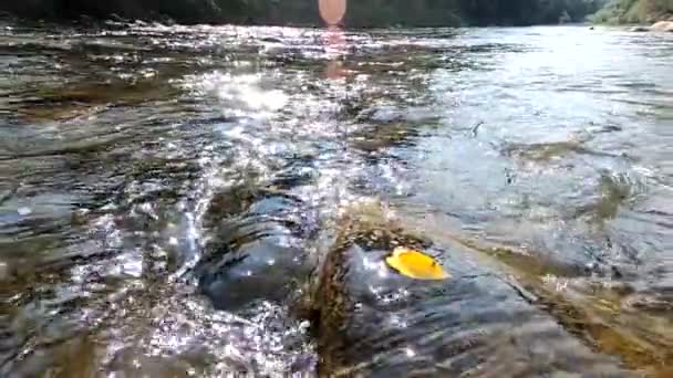 Fiume Montagna Sotto Tiro Acqua — Video Stock