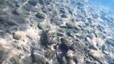 Suyun altındaki dağ nehri.