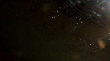 Suyun altındaki dağ nehri.