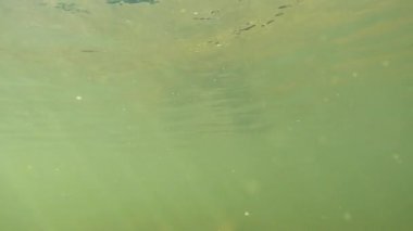 Suyun altındaki dağ nehri.