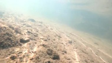 Suyun altındaki dağ nehri.