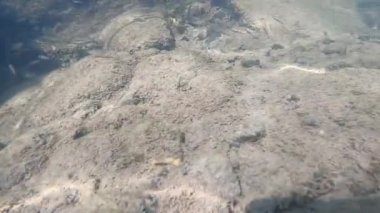 Suyun altındaki dağ nehri.